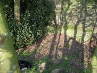 Parc
