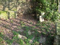 Parc